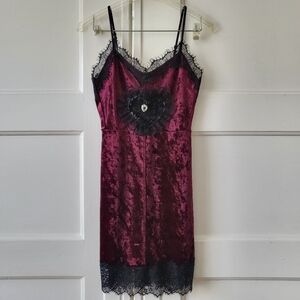 Handmade Gothic Scorpion Resin Heart Dress Burgundy Velvet Lace